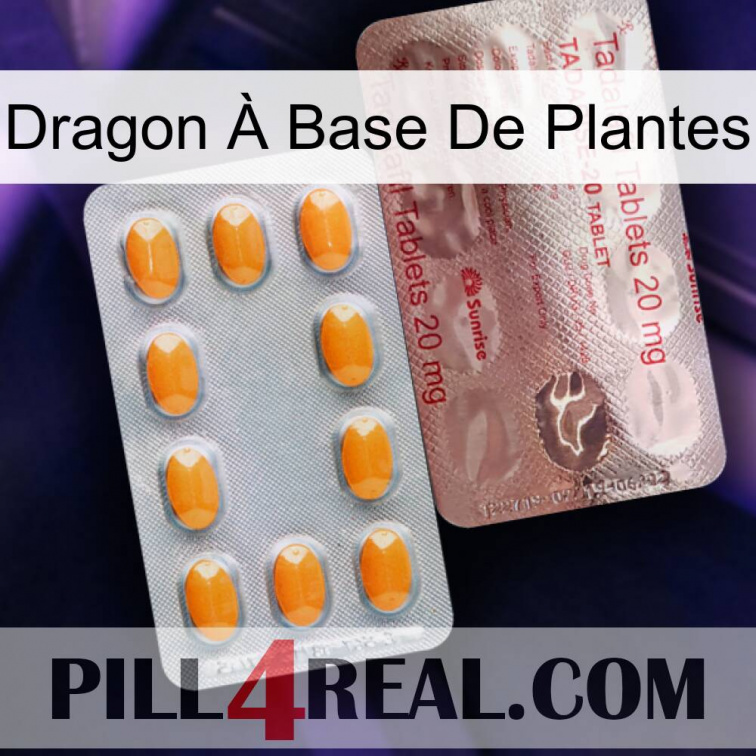Dragon À Base De Plantes new13
